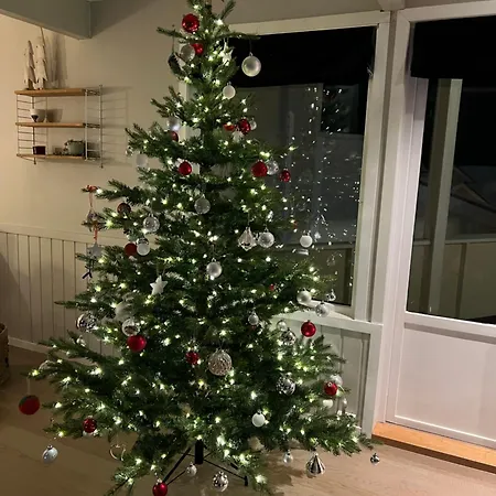 Traditional Norwegian Christmas *
